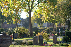 Evangelischer Friedhof Lange Kamp